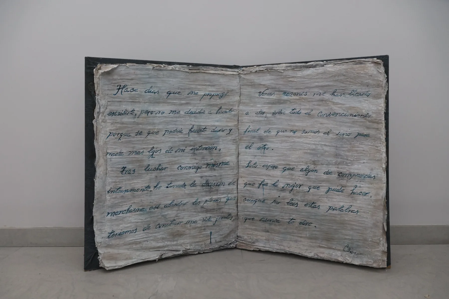 Cartas — Cristina Riesgo