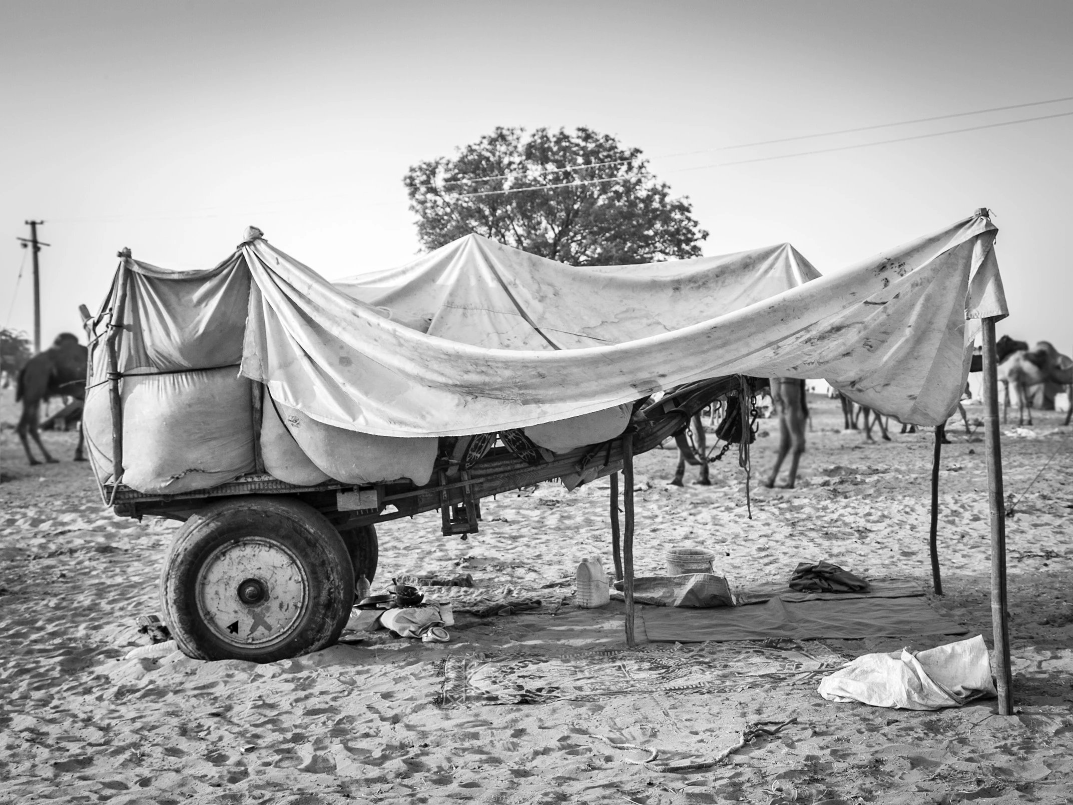 Niño entre camellos y su reflejo perfecto en un charco — Pushkar, Rajasthan — Cristina Riesgo