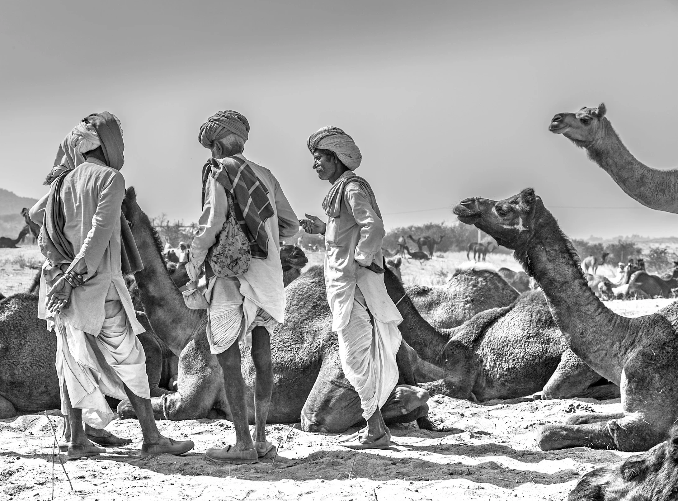 Los que vienen del desierto — foto 5